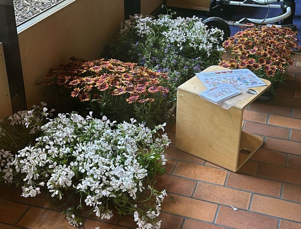 w 3ba62089 7363 4c39 8666 8d2c65f4a01b